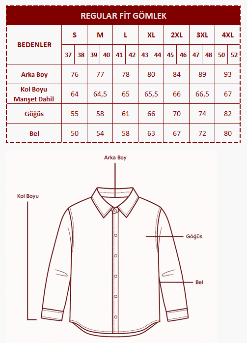 REGULARFİTGÖMLEK.png (189 KB)