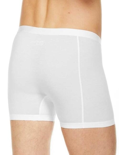 Erkek Beyaz Boxer (1)