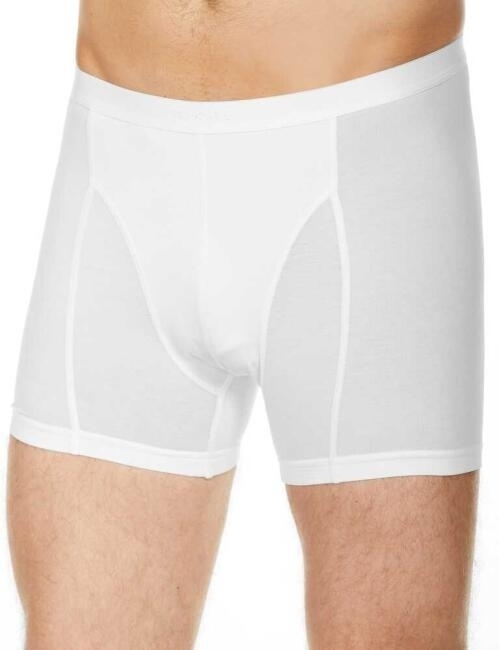 Erkek Beyaz Boxer - 3